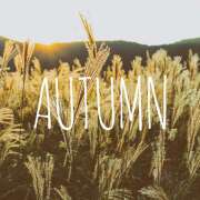 ヒメ日記 2025/09/16 10:29 投稿 そら 所沢デリヘル桜