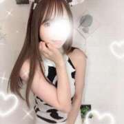 ヒメ日記 2025/04/15 14:50 投稿 りんな PHANTOM(ファントム)