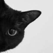 ヒメ日記 2025/05/01 19:31 投稿 とうこ 熟女の風俗最終章 相模原店