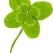 ヒメ日記 2025/04/12 18:21 投稿 とうこ 熟女の風俗最終章 町田店