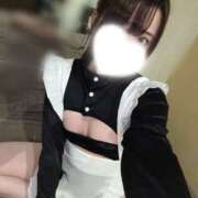 ヒメ日記 2026/03/19 04:47 投稿 わいん ビギナーズ神戸