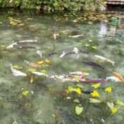 ヒメ日記 2025/04/12 07:52 投稿 やよい エディーズ