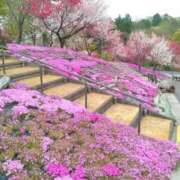 ヒメ日記 2025/04/20 20:36 投稿 やよい エディーズ