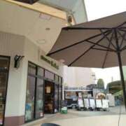 ヒメ日記 2025/04/22 17:46 投稿 やよい エディーズ