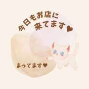 ヒメ日記 2025/04/23 11:07 投稿 やよい エディーズ