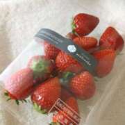 ヒメ日記 2025/05/02 11:26 投稿 やよい エディーズ