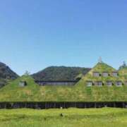 ヒメ日記 2025/05/04 11:36 投稿 やよい エディーズ