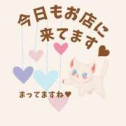 ヒメ日記 2025/06/07 11:06 投稿 やよい エディーズ