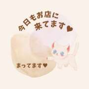 ヒメ日記 2025/06/08 16:06 投稿 やよい エディーズ