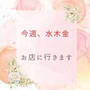 ヒメ日記 2025/06/09 08:26 投稿 やよい エディーズ