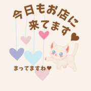 ヒメ日記 2025/07/02 11:16 投稿 やよい エディーズ