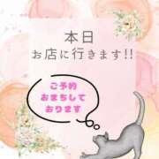 ヒメ日記 2025/08/02 10:07 投稿 やよい エディーズ