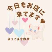 ヒメ日記 2025/08/14 10:00 投稿 やよい エディーズ