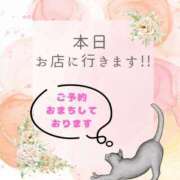 ヒメ日記 2025/08/25 07:36 投稿 やよい エディーズ