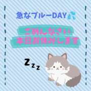 ヒメ日記 2025/11/27 17:56 投稿 やよい エディーズ