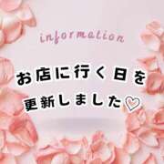 ヒメ日記 2025/12/11 17:09 投稿 やよい エディーズ