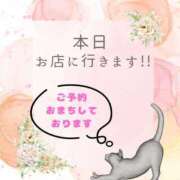 ヒメ日記 2025/12/20 10:45 投稿 やよい エディーズ