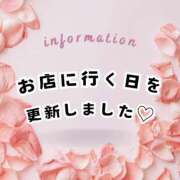 ヒメ日記 2026/07/24 11:06 投稿 やよい エディーズ