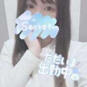 ヒメ日記 2025/04/08 20:58 投稿 しずく 町田人妻城