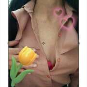 ヒメ日記 2025/04/06 13:23 投稿 なみこ 熟女の風俗最終章 八王子店