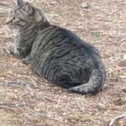 ヒメ日記 2026/02/19 11:03 投稿 なみこ 熟女の風俗最終章 八王子店