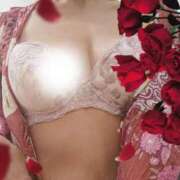 ヒメ日記 2025/05/05 14:46 投稿 なみこ 熟女の風俗最終章 所沢店