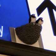 ヒメ日記 2025/07/16 11:33 投稿 なみこ 熟女の風俗最終章 立川店