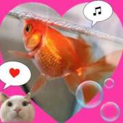 ヒメ日記 2025/07/31 14:33 投稿 なみこ 熟女の風俗最終章 立川店