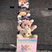 ヒメ日記 2025/07/03 00:09 投稿 ゆに ぽちゃカワ女子専門店宇都宮店