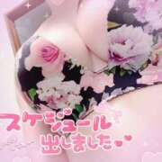 ヒメ日記 2025/08/07 09:30 投稿 ひめか モアグループ宇都宮人妻花壇