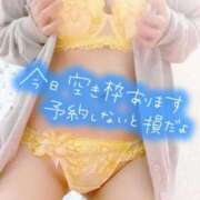 ヒメ日記 2025/04/28 09:38 投稿 ひなこ 不倫体験 名古屋店