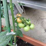 ヒメ日記 2025/06/09 11:22 投稿 ひなこ 不倫体験 名古屋店