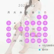 ヒメ日記 2025/09/29 12:21 投稿 あまね Versailles