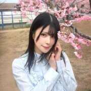 ヒメ日記 2026/03/03 08:31 投稿 あまね Versailles