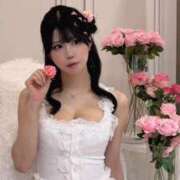 ヒメ日記 2026/04/22 08:37 投稿 あまね Versailles