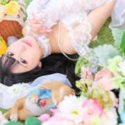 ヒメ日記 2026/06/07 08:31 投稿 あまね Versailles
