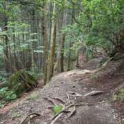 ヒメ日記 2025/10/31 19:00 投稿 なな 所沢東村山ちゃんこ