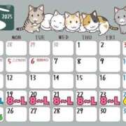 ヒメ日記 2025/05/01 08:14 投稿 ゆゆ マリンマリン