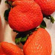 ヒメ日記 2025/04/25 18:20 投稿 なな 西東京市小平ちゃんこ