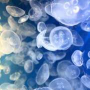 ヒメ日記 2025/10/04 21:00 投稿 なな 西東京市小平ちゃんこ