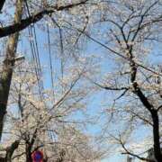 ヒメ日記 2025/04/13 04:25 投稿 星空もあ グランエステ東京 品川（シンデレラグループ）