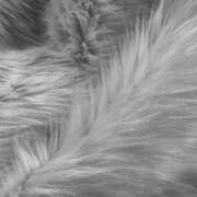 ヒメ日記 2025/05/02 08:28 投稿 ぽち 熊本グラマーグラマー