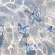 ヒメ日記 2025/06/19 05:30 投稿 ぽち 熊本グラマーグラマー