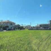 ヒメ日記 2025/07/29 10:02 投稿 ぽち 熊本グラマーグラマー