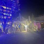 ヒメ日記 2025/12/02 06:43 投稿 ぽち 熊本グラマーグラマー