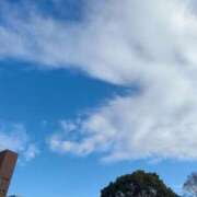 ヒメ日記 2025/12/17 09:38 投稿 ぽち 熊本グラマーグラマー