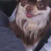 ヒメ日記 2026/03/02 08:32 投稿 ぽち 熊本グラマーグラマー