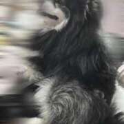 ヒメ日記 2026/04/06 11:29 投稿 ぽち 熊本グラマーグラマー