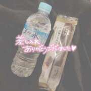 ヒメ日記 2026/04/16 13:08 投稿 ぽち 熊本グラマーグラマー