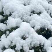 ヒメ日記 2026/02/08 12:08 投稿 さくら 実録！おとなのわいせつ倶楽部